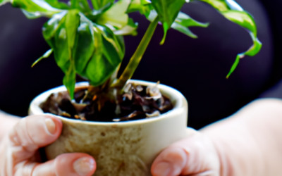 Practical Wellness: Actionable Tips And Strategies