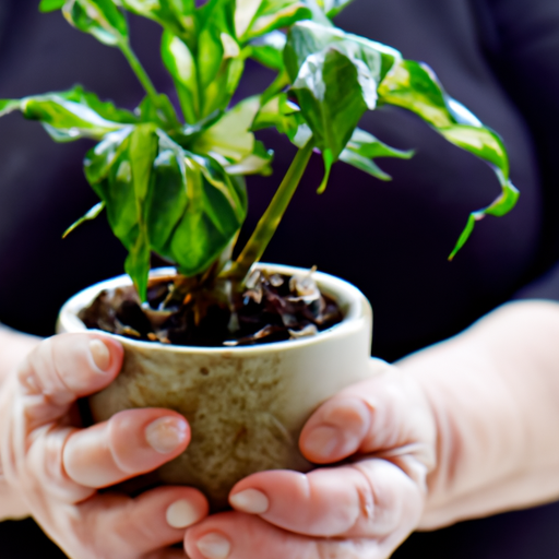 Practical Wellness: Actionable Tips And Strategies